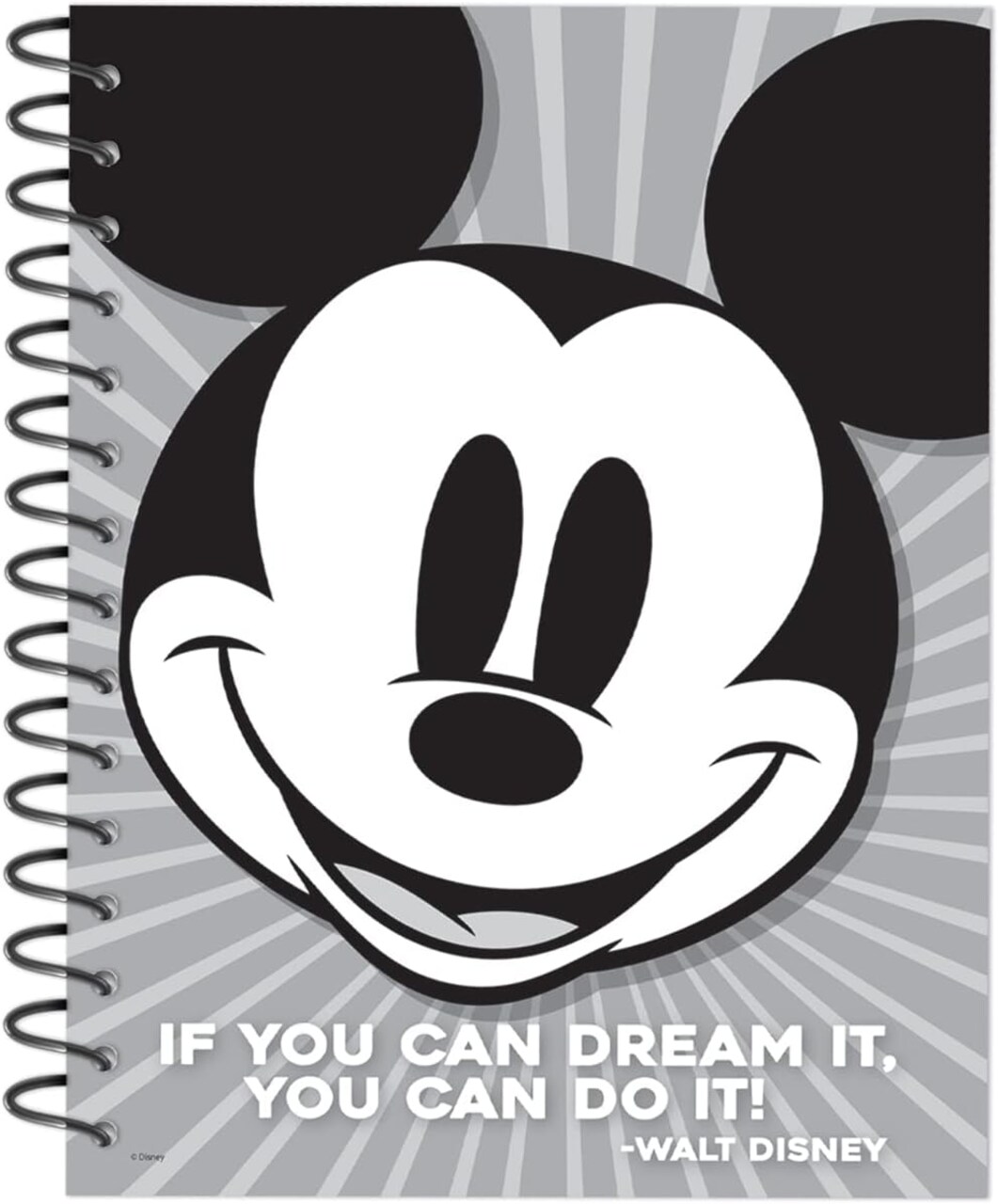 Mickey Mouse Teacher Undated Record and Lesson Plan Book - 167 Pages